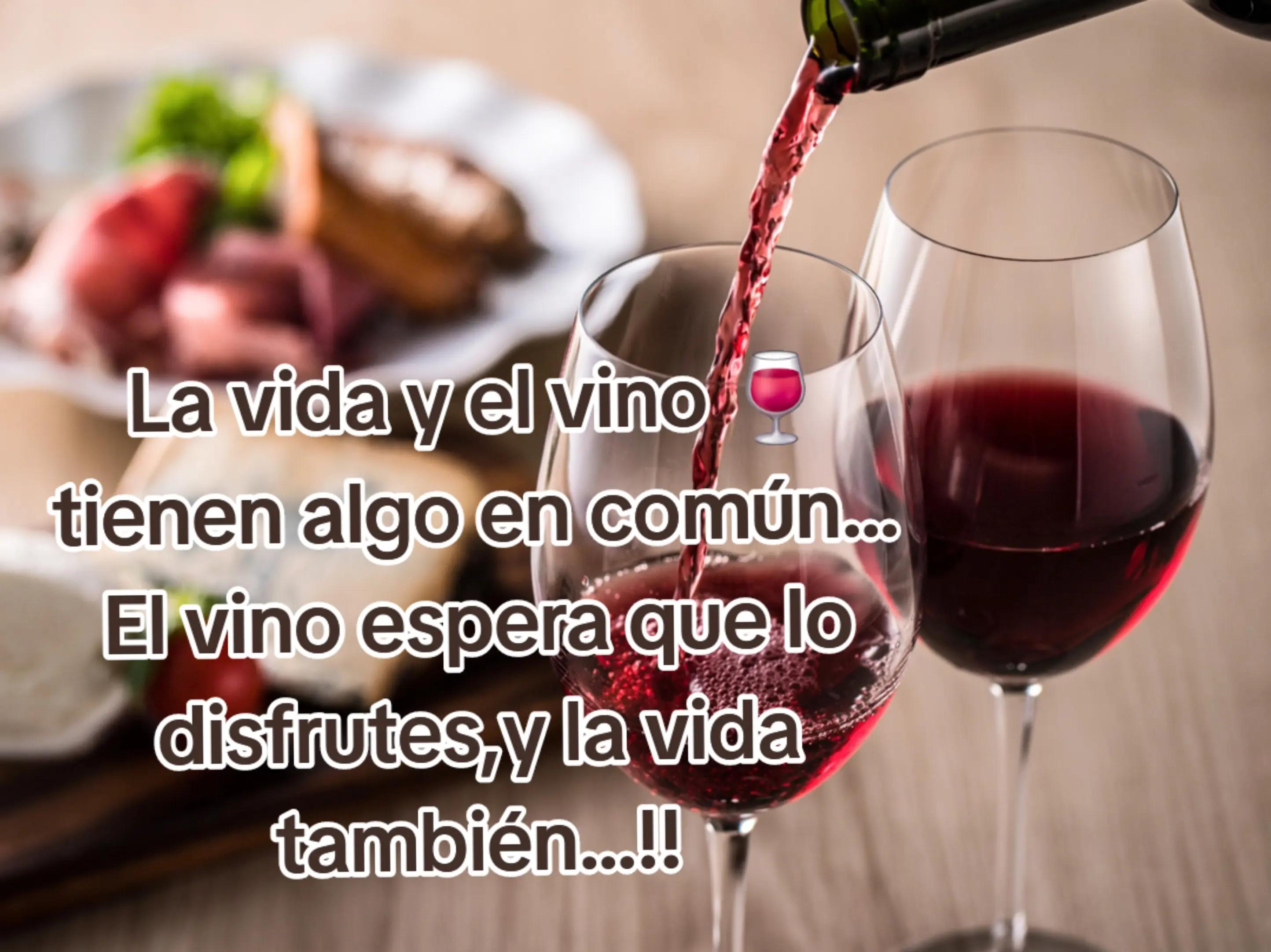 @♊️ M.DORITA♊️