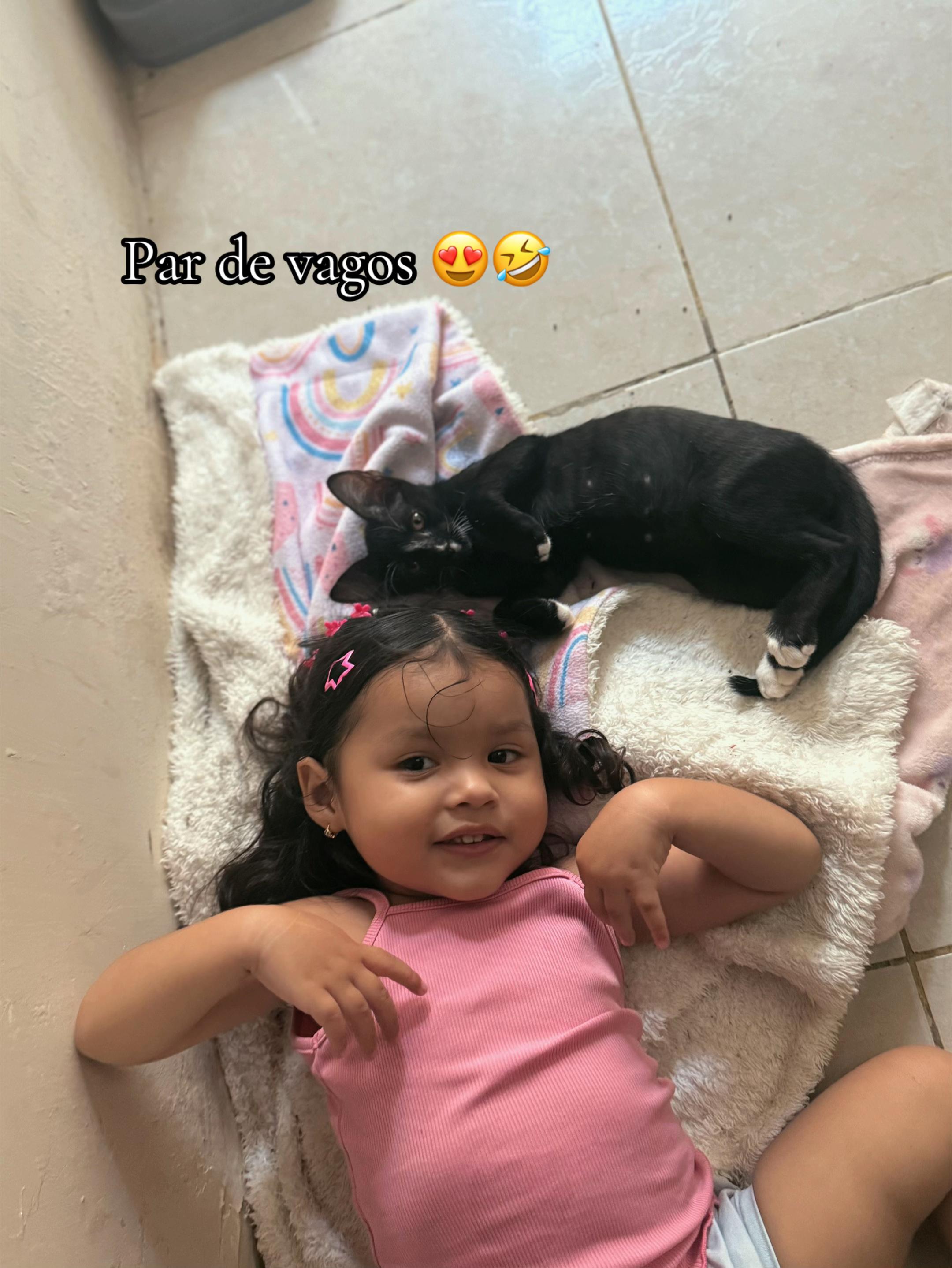 @Brismarybobadilla🌸
