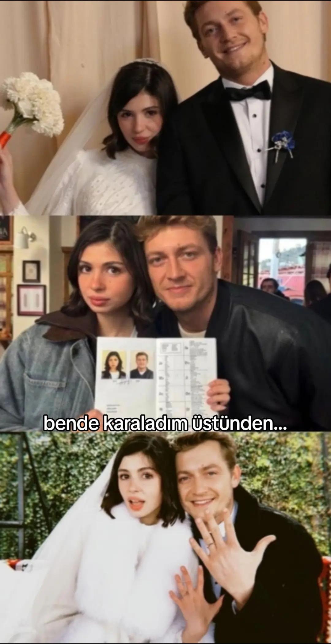 @isfadeditss.