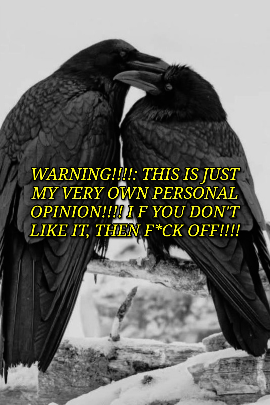 @🥀🦇🖤 𝑯𝒐𝒍𝒍𝒚 🥀🦇🖤