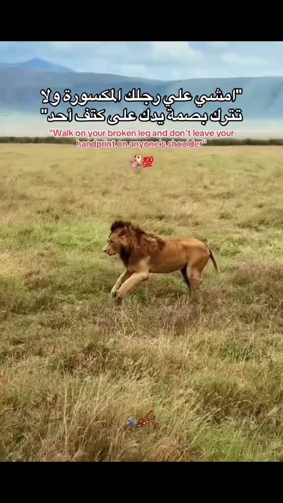 @المكسيكي لآ يخون 🥇