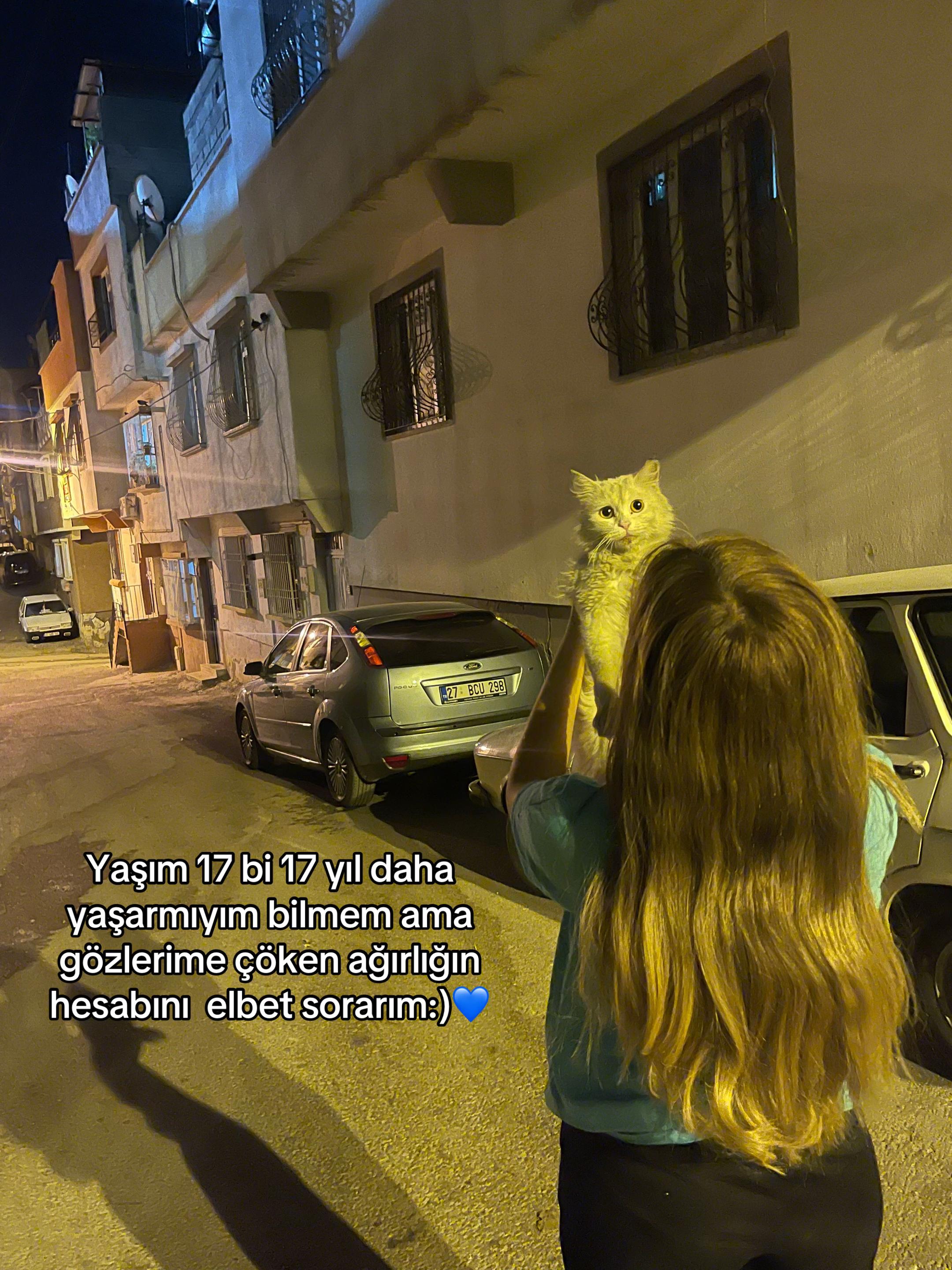 @eyşan
