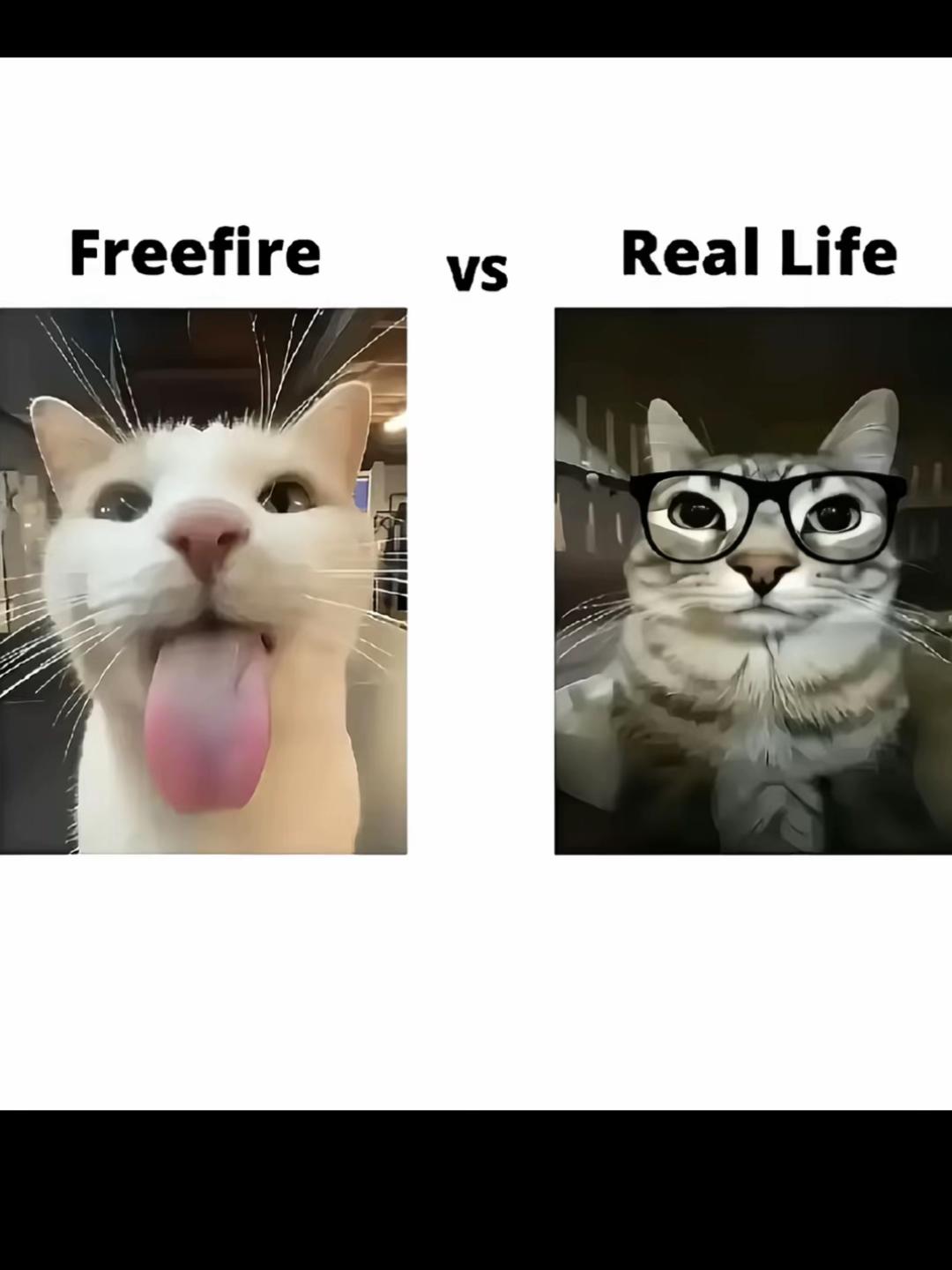 @𝓐𝓵𝓪𝓷𝓲𝓼.🕷️