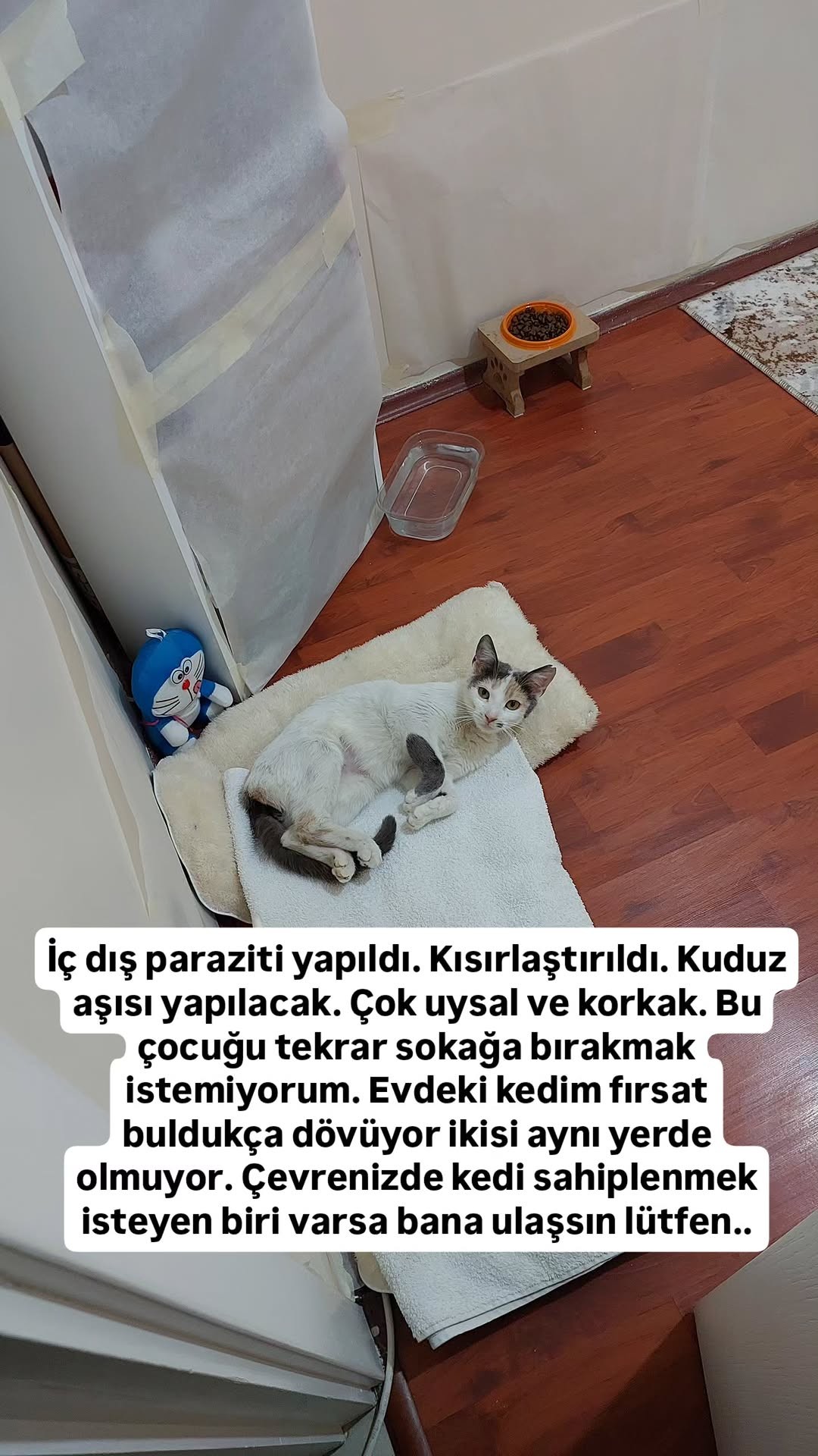 @GülsheN