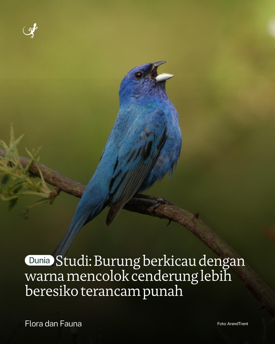 @mongabayindonesia