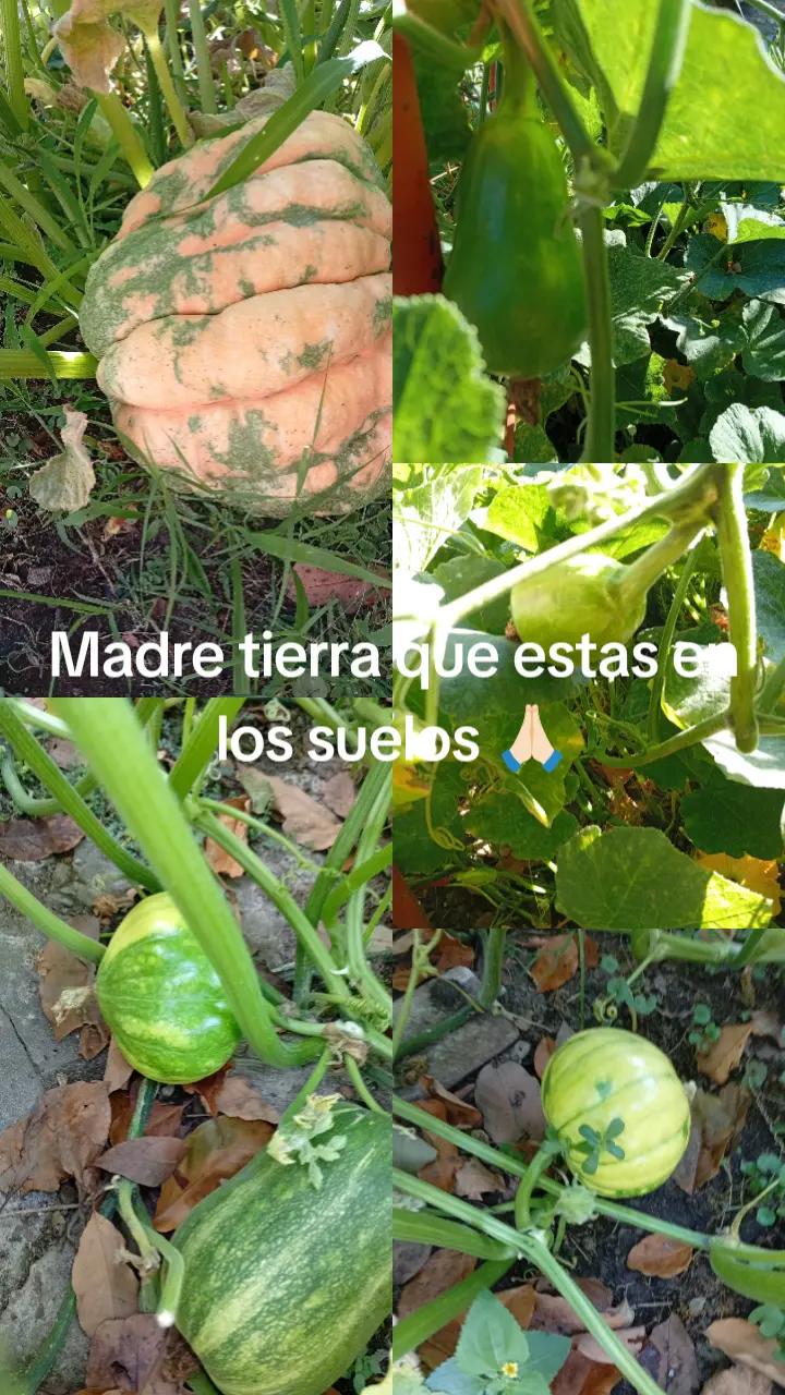 @Mirta Susana