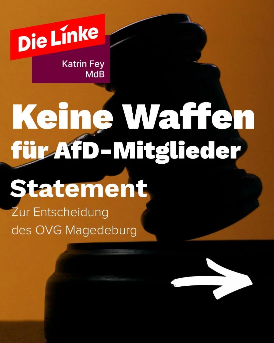 @Katrin Fey, MdB Die Linke