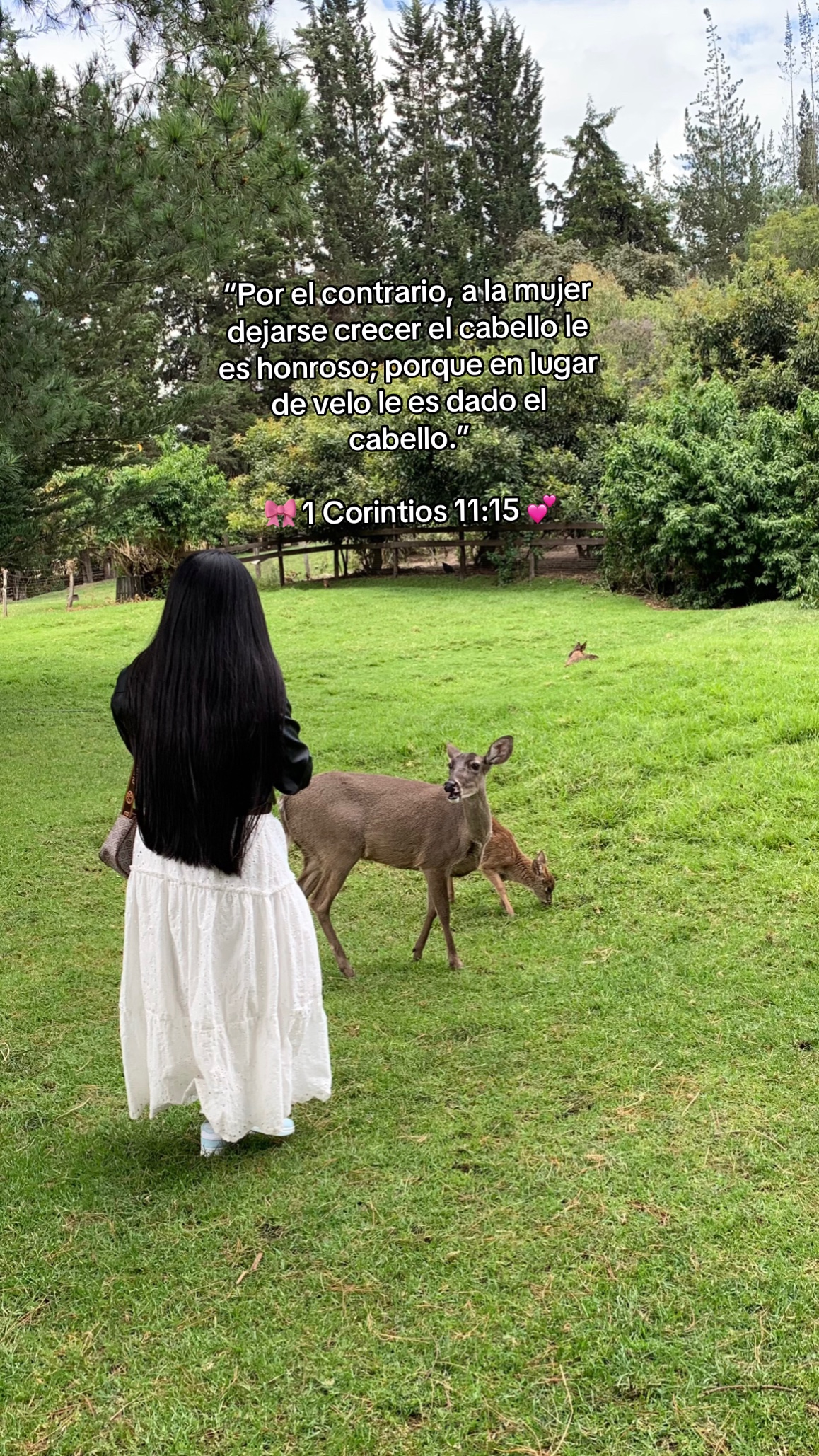 @𝓔𝓿𝓮𝓵𝔂𝓷🌷