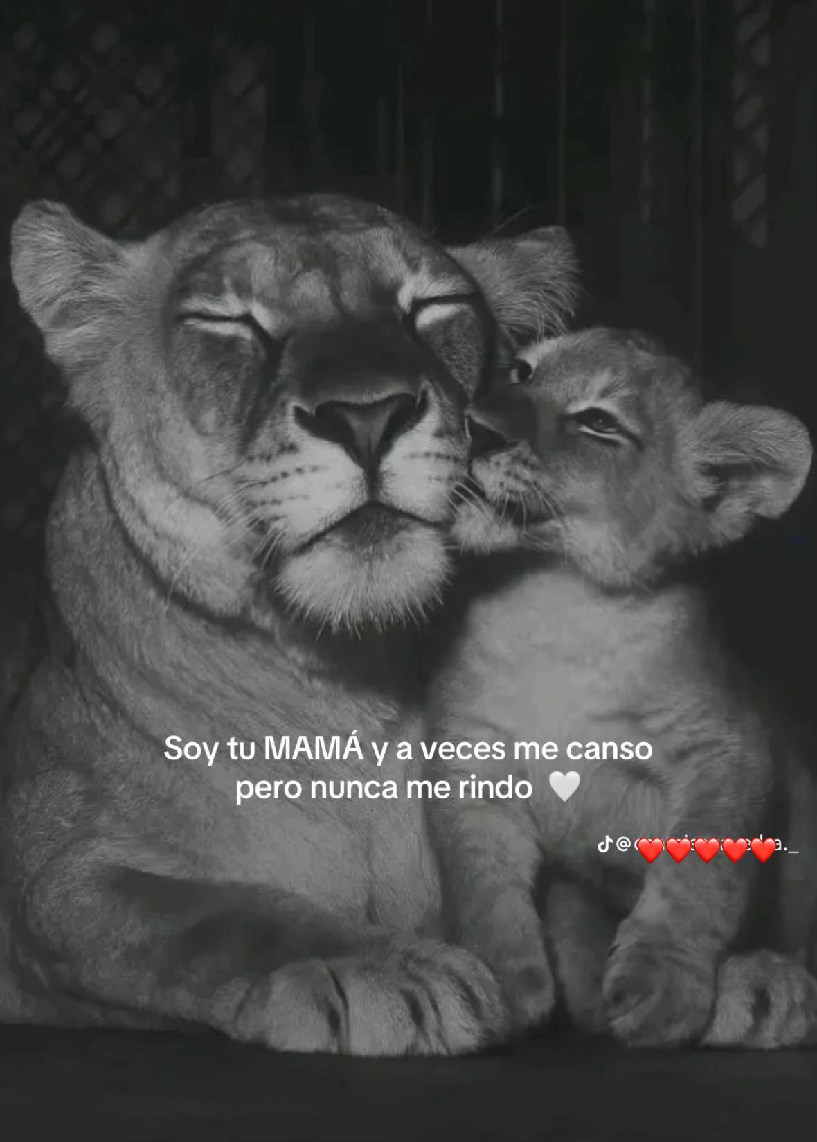 @abbrillromero