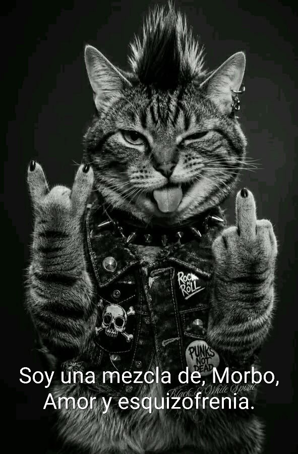 @Fernando