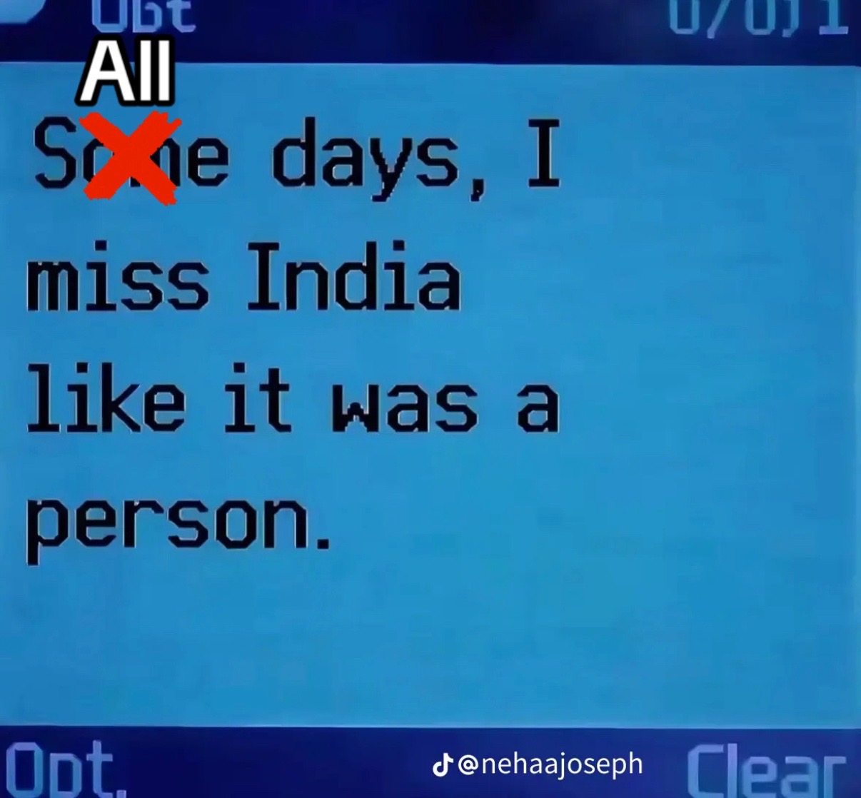 @Walmart Indian