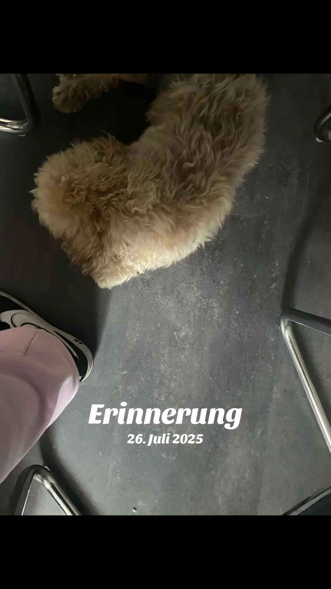 @Sammy 🇵🇱