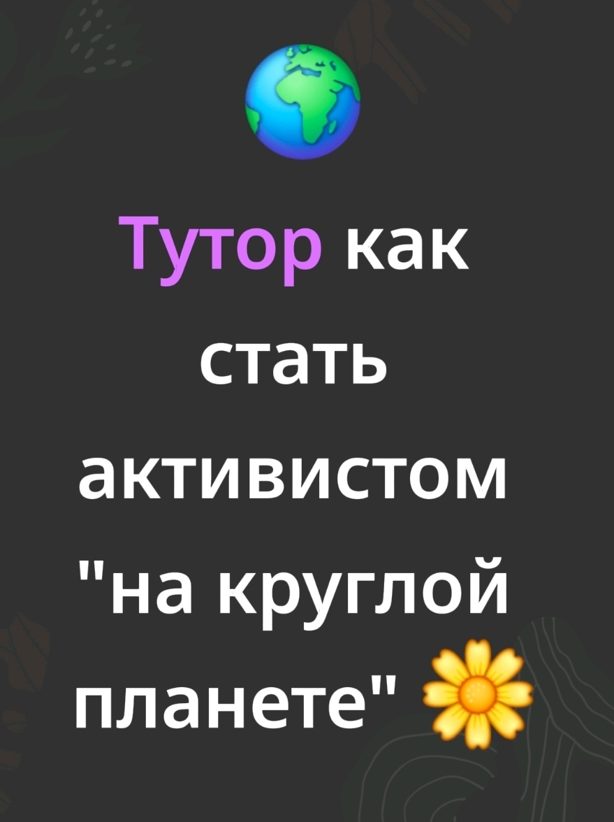 @M6