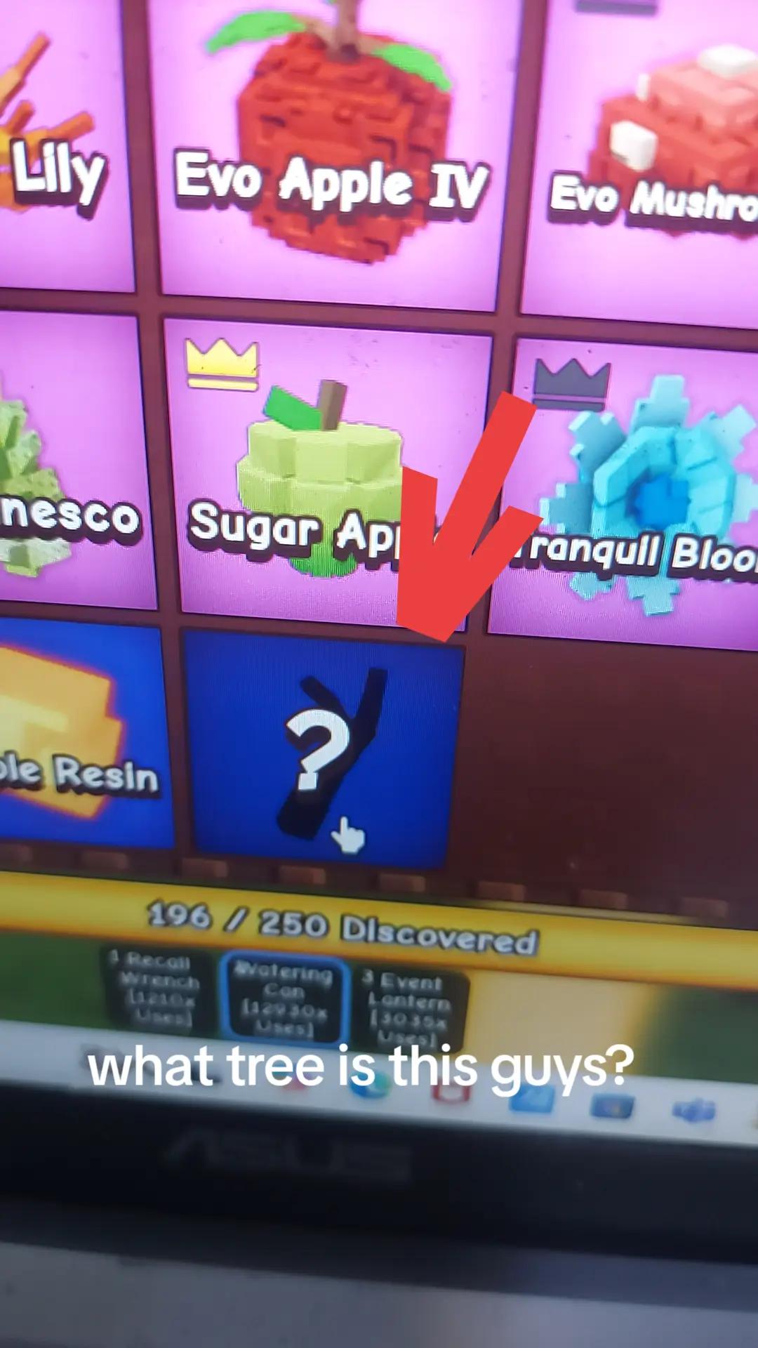 @Spongebob squarejacket