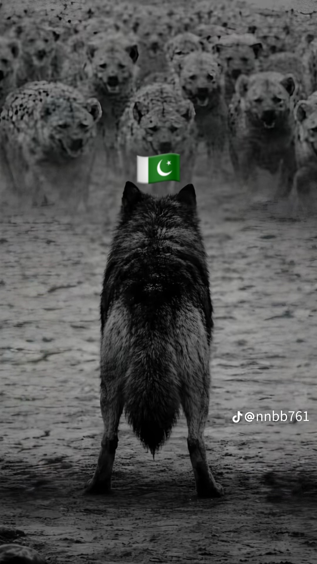 @Mardan boy