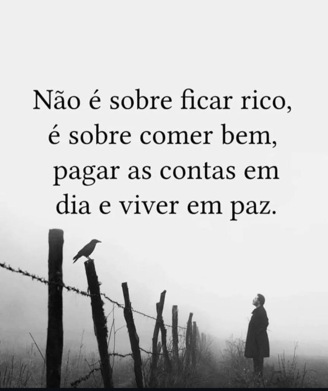 @Caminho Zen