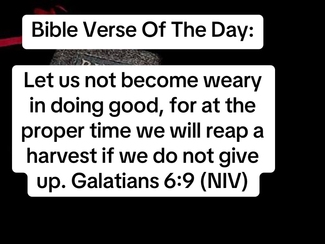 @Calvary New Beginnings