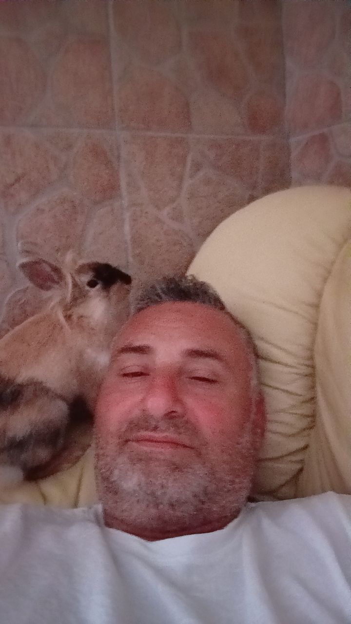 @Gaetano Natalello