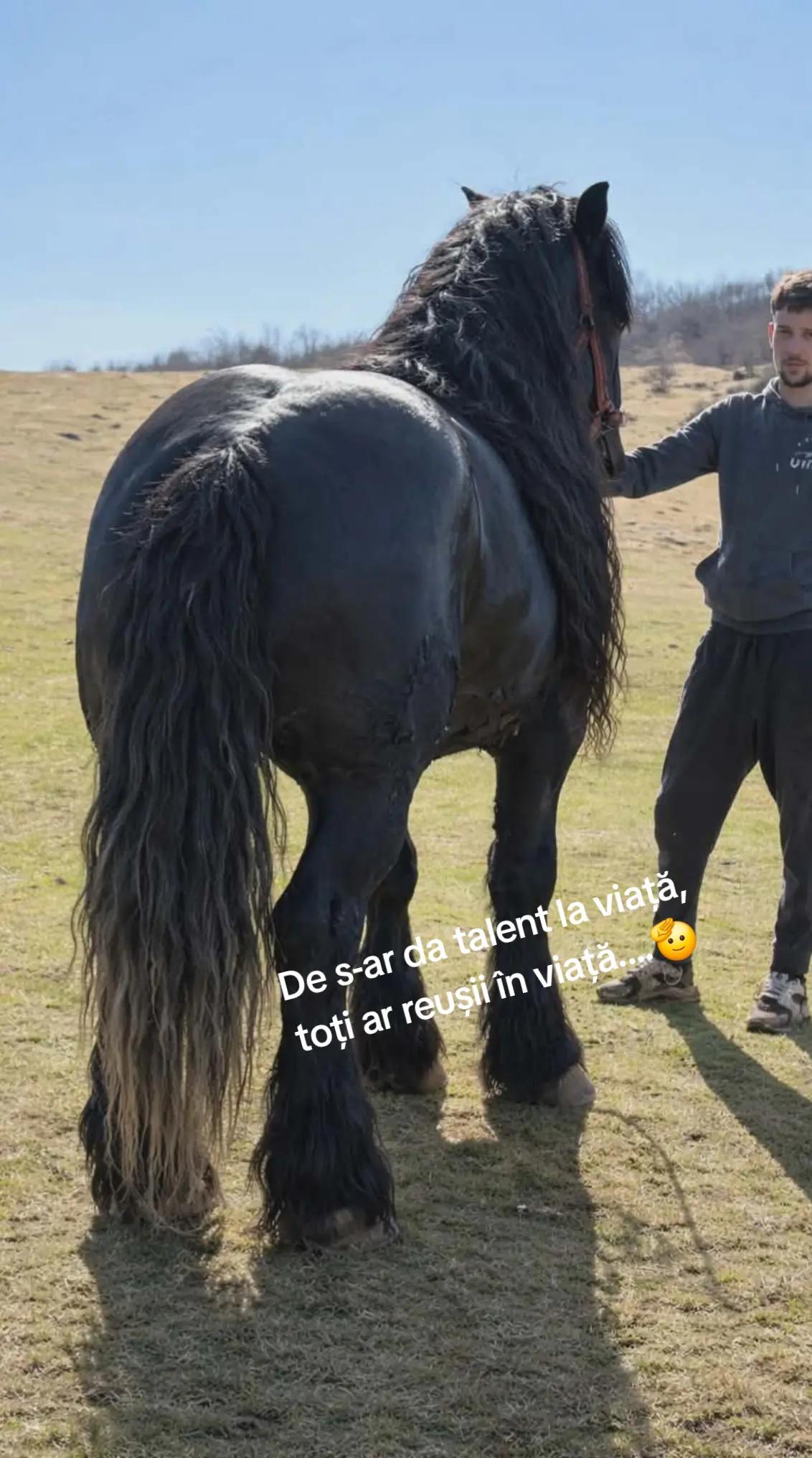 @Paul 🤟