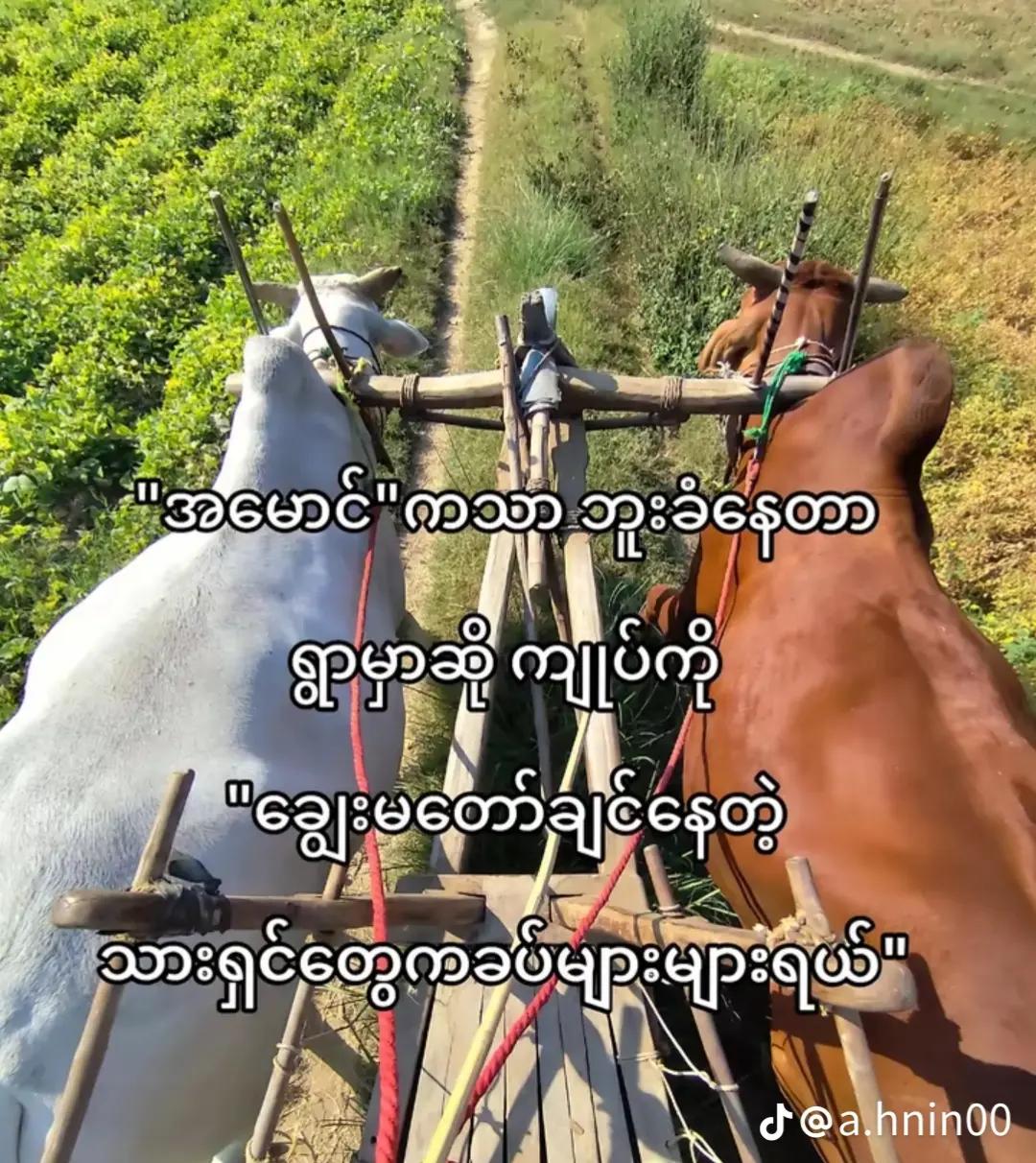 @šMal Yamoneš