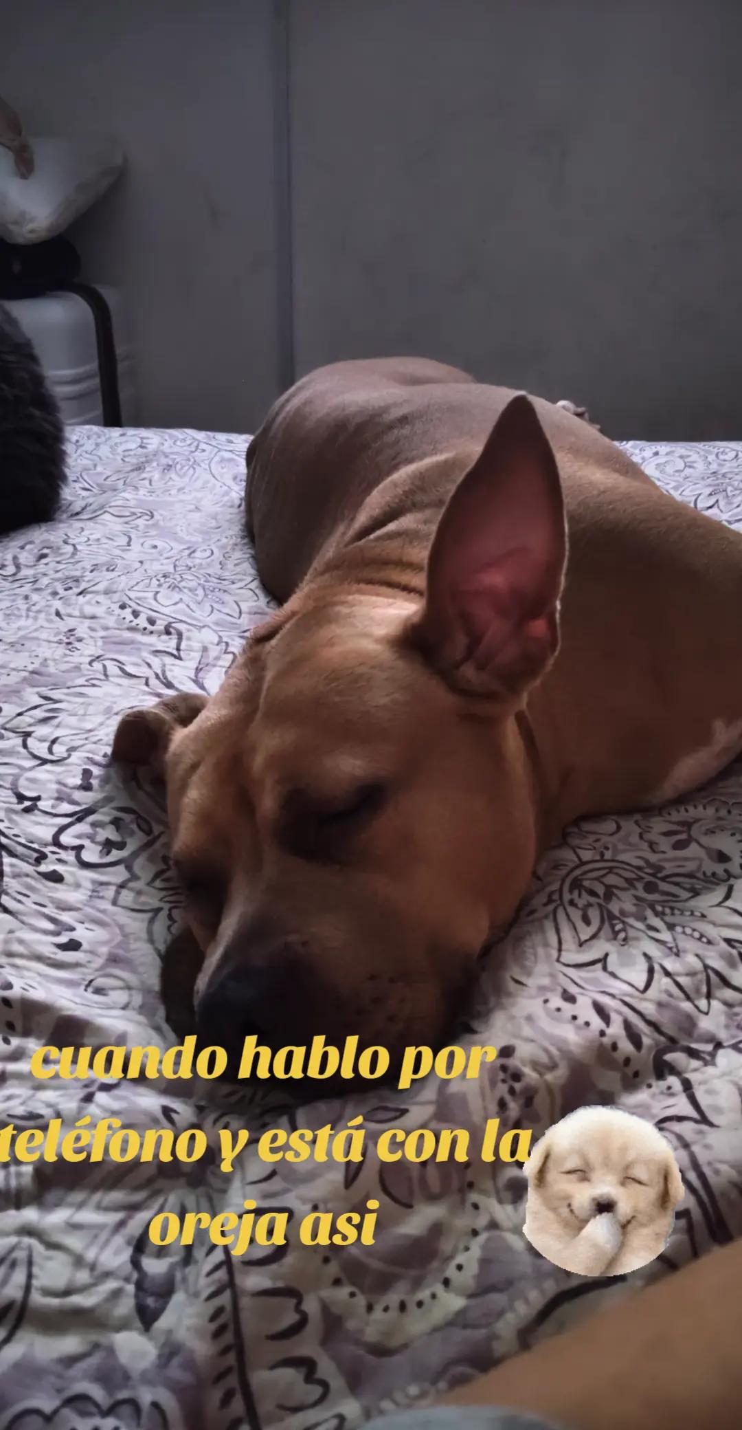 @Marysol Aguirre