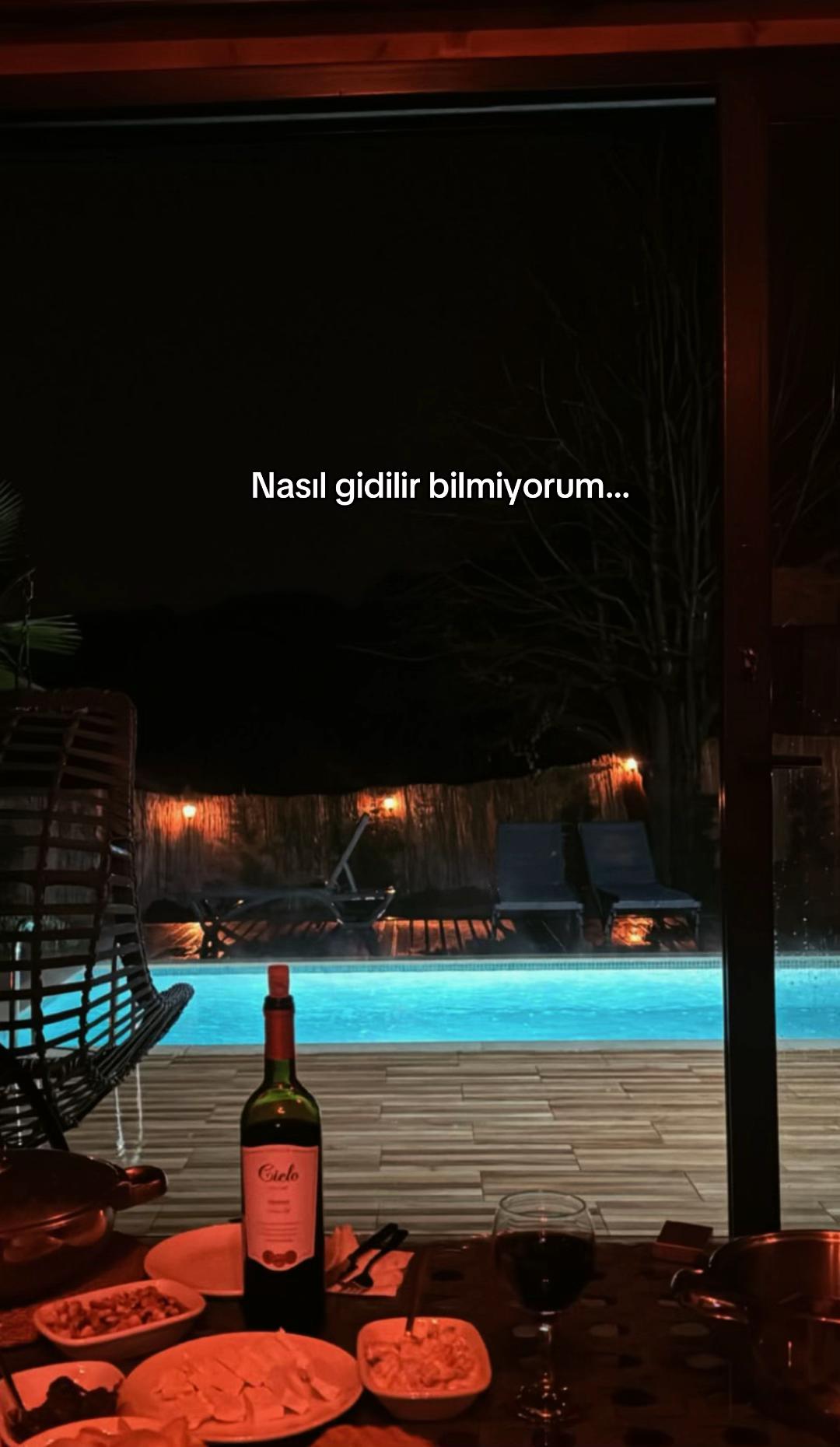 @seviyorgibiydin24