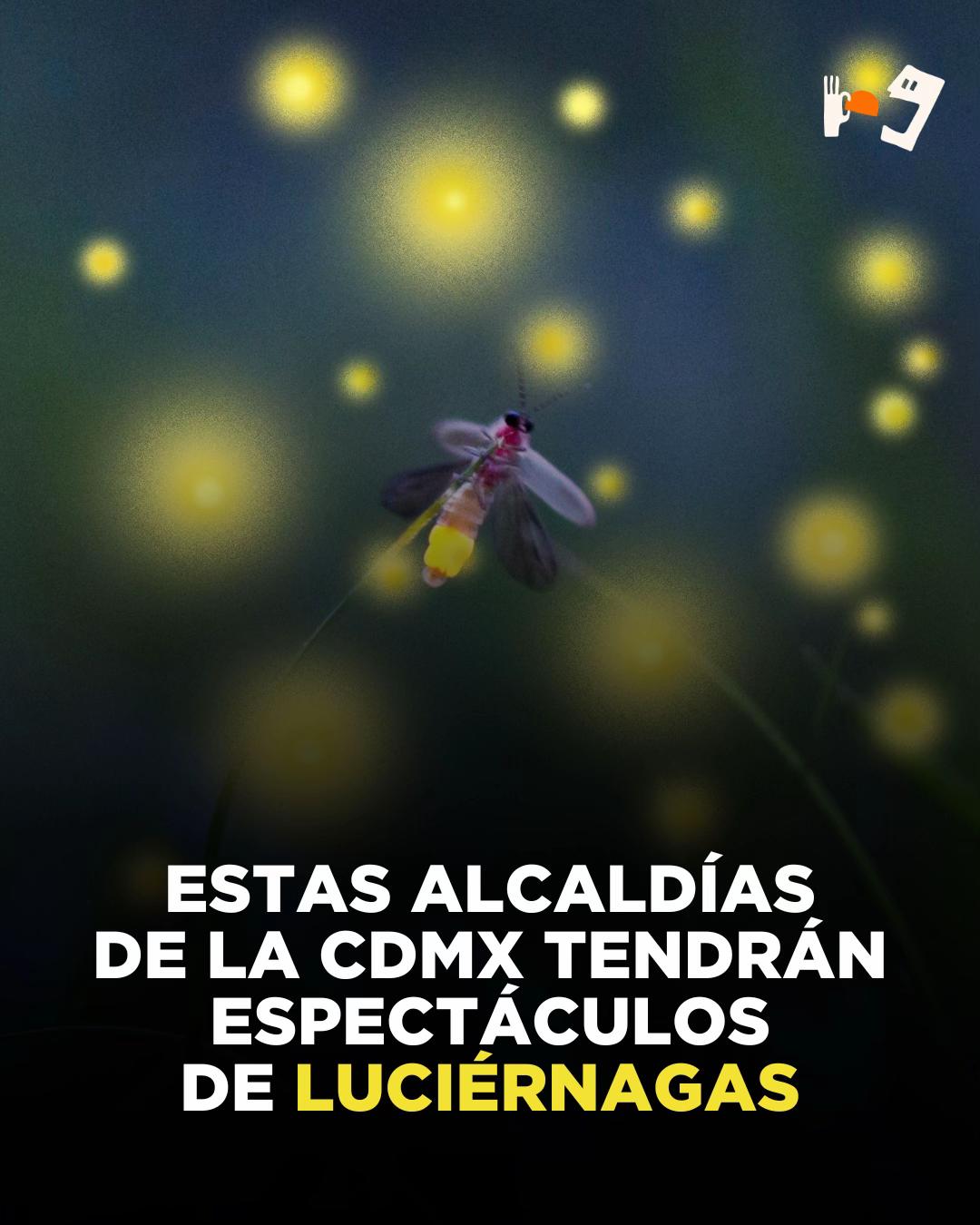 @Directo al Paladar MX