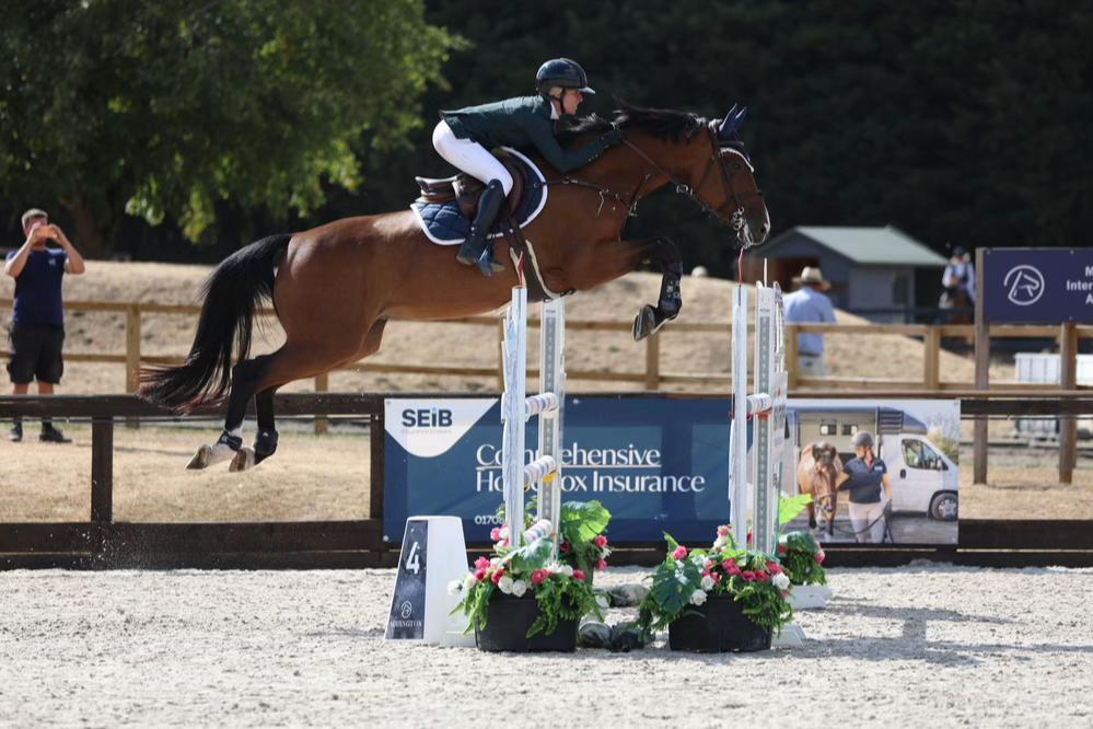 @Lucy Struthers Horses