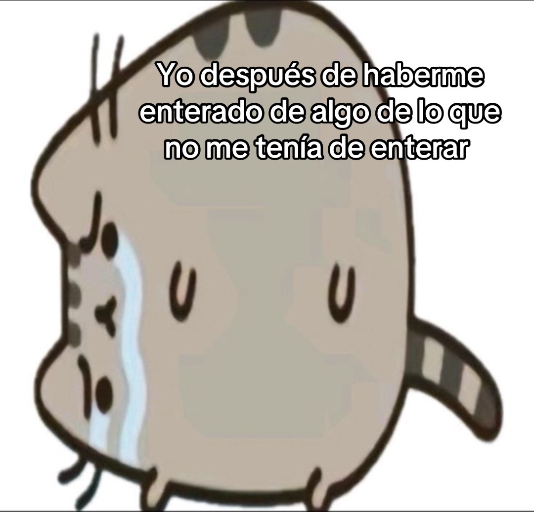 @kitty