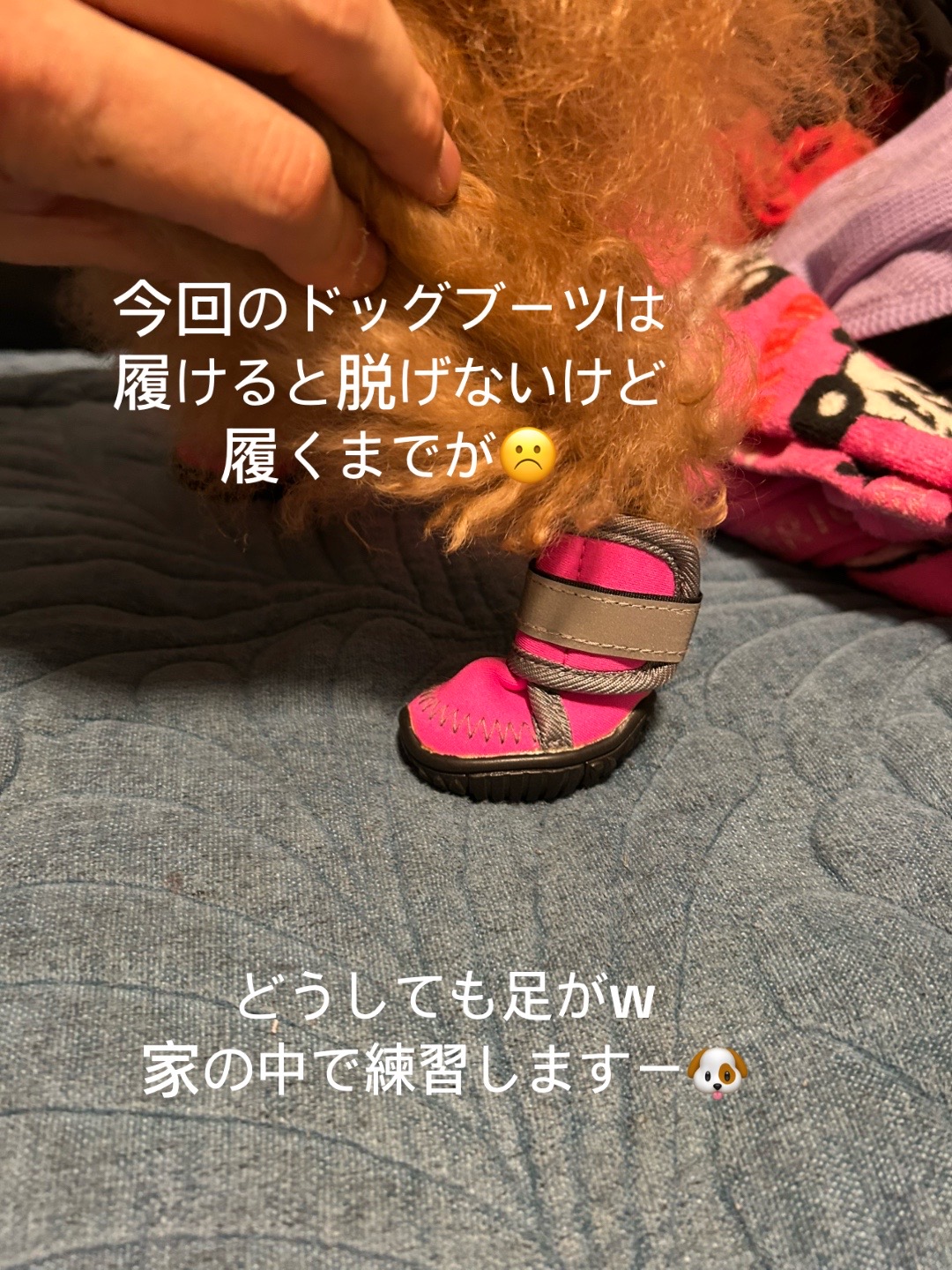 @Lamboðïžð¥ð¥ð¥TMãããŒã®ã£ã«äŒé·