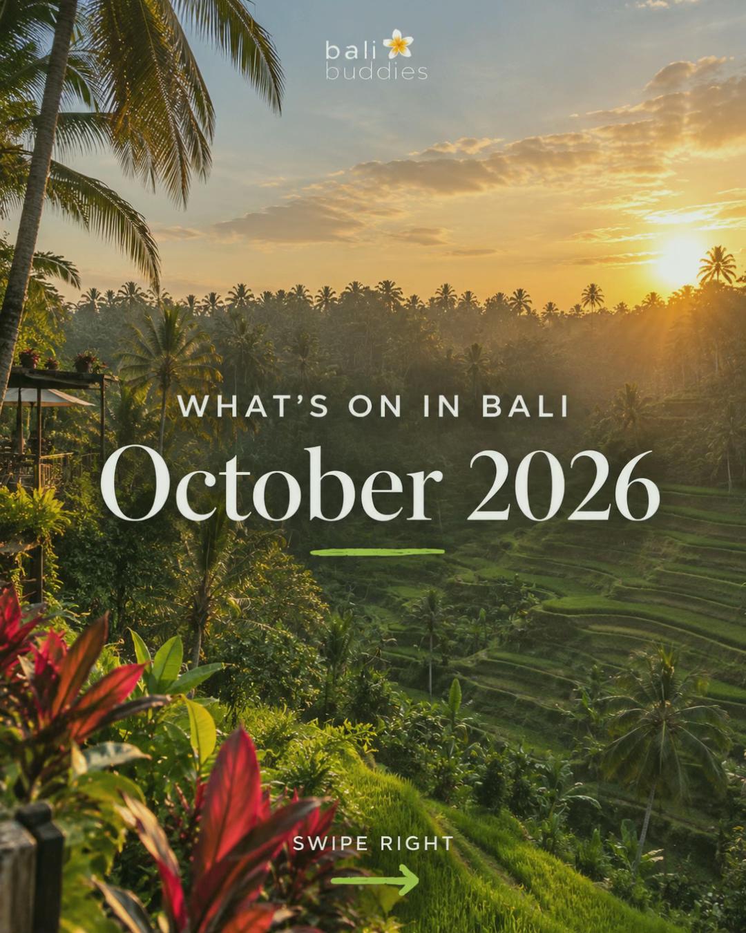 @Bali Buddies