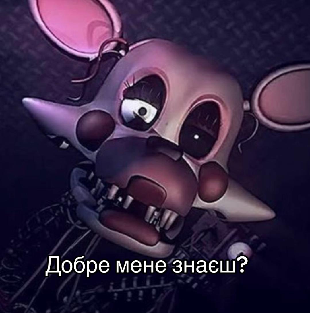 @꒰ა🦴 𝑀𝒾𝓈𝓉𝓎🐚໒꒱ ⋆&deg;.⋆