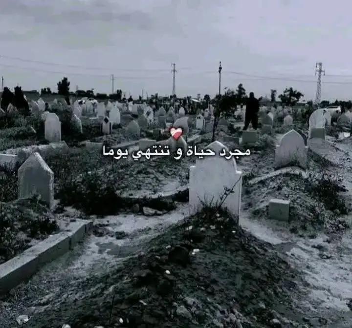 @Doaa Mohammed
