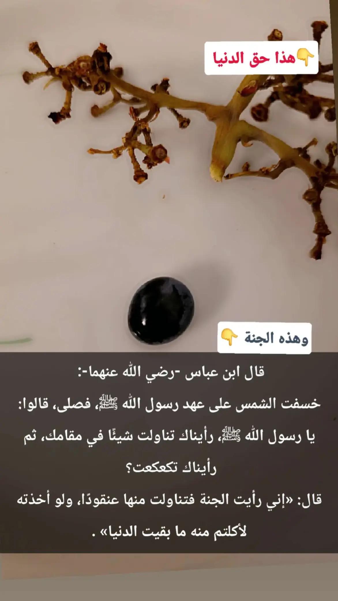 @سعود من المدينة المنورة 🛑