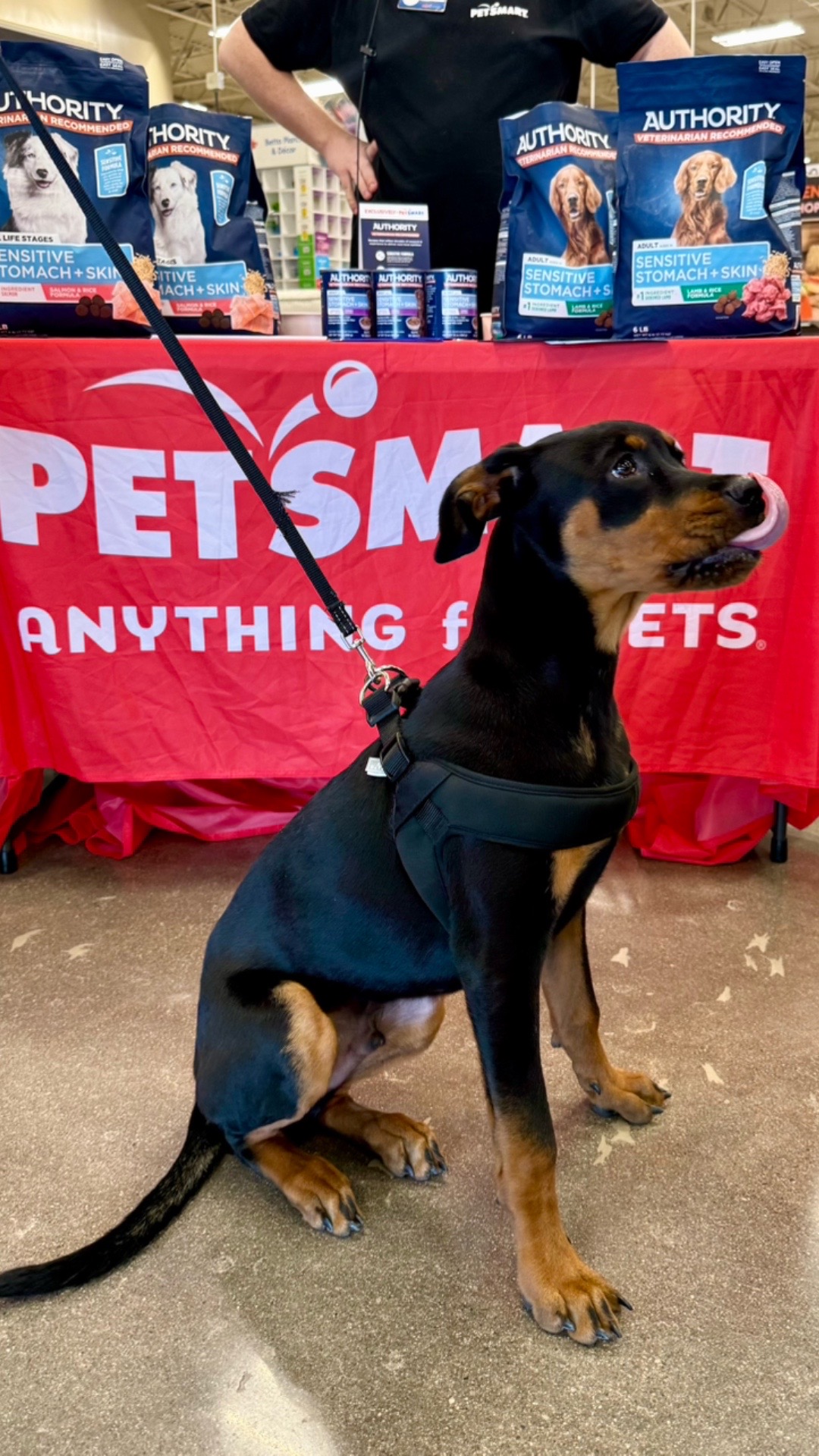 @PetSmart