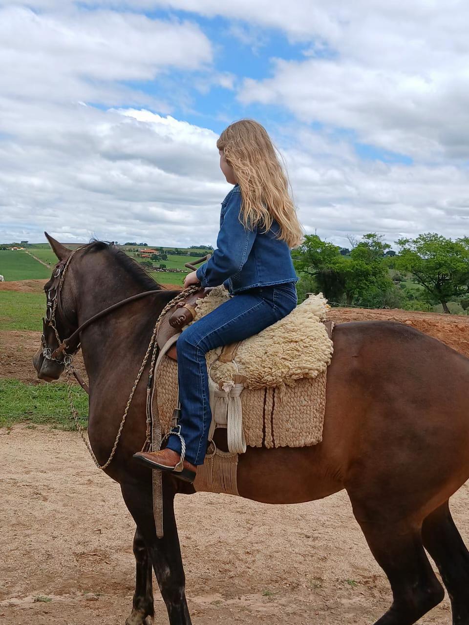 @Thor & cookie🐴🐰