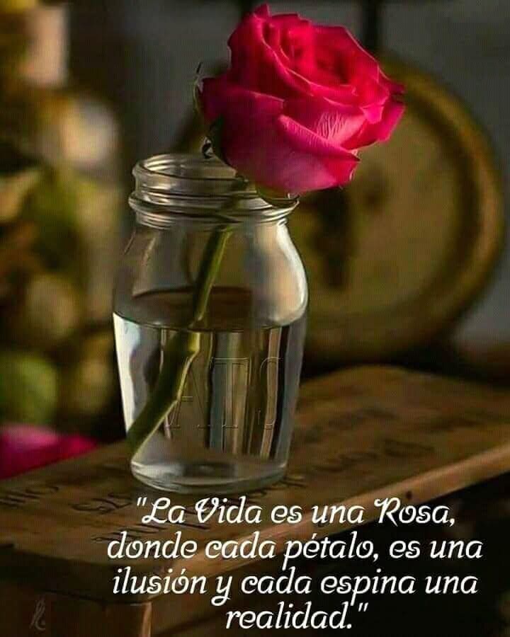 @clararabadan292