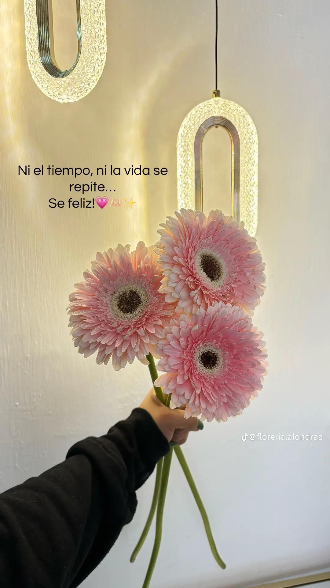 @*♡Łună*GN♡☆