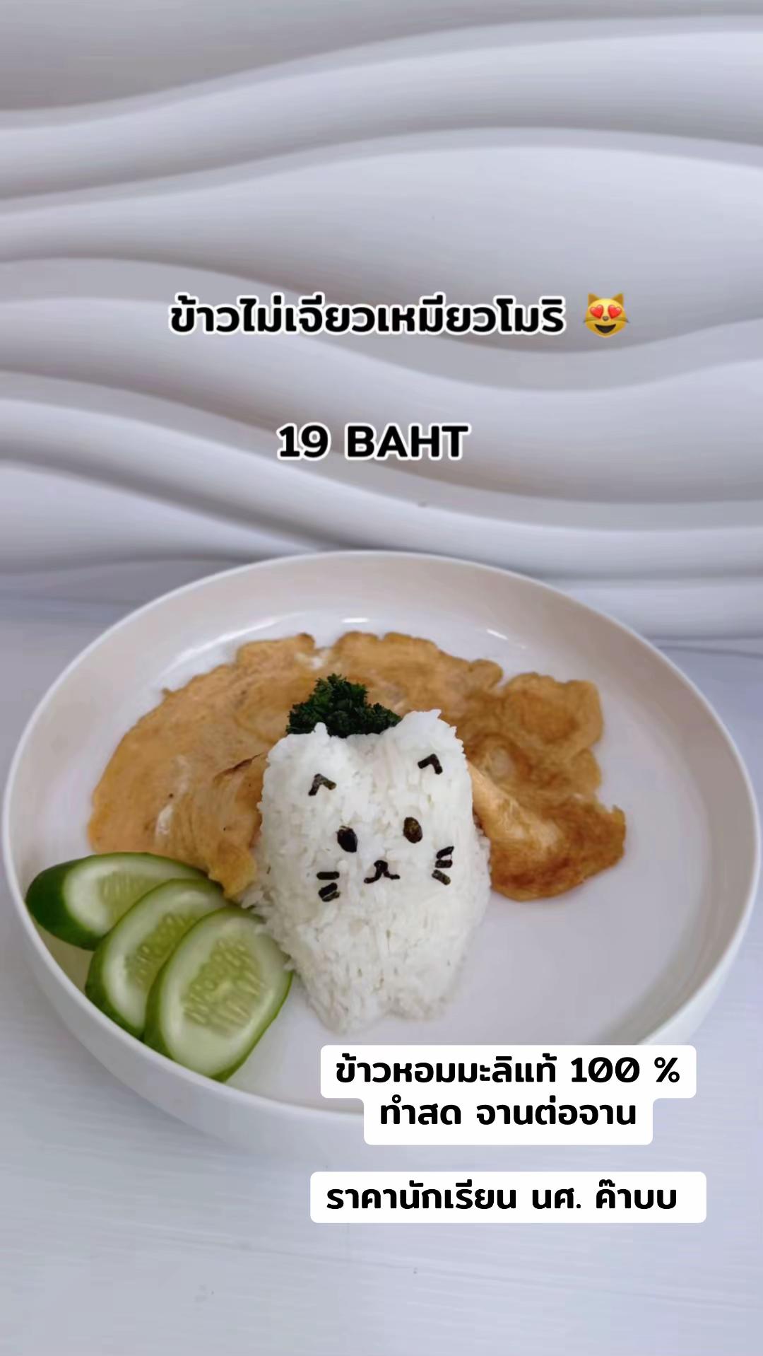@คาเฟ่แมวโมริ Mori cat cafe'