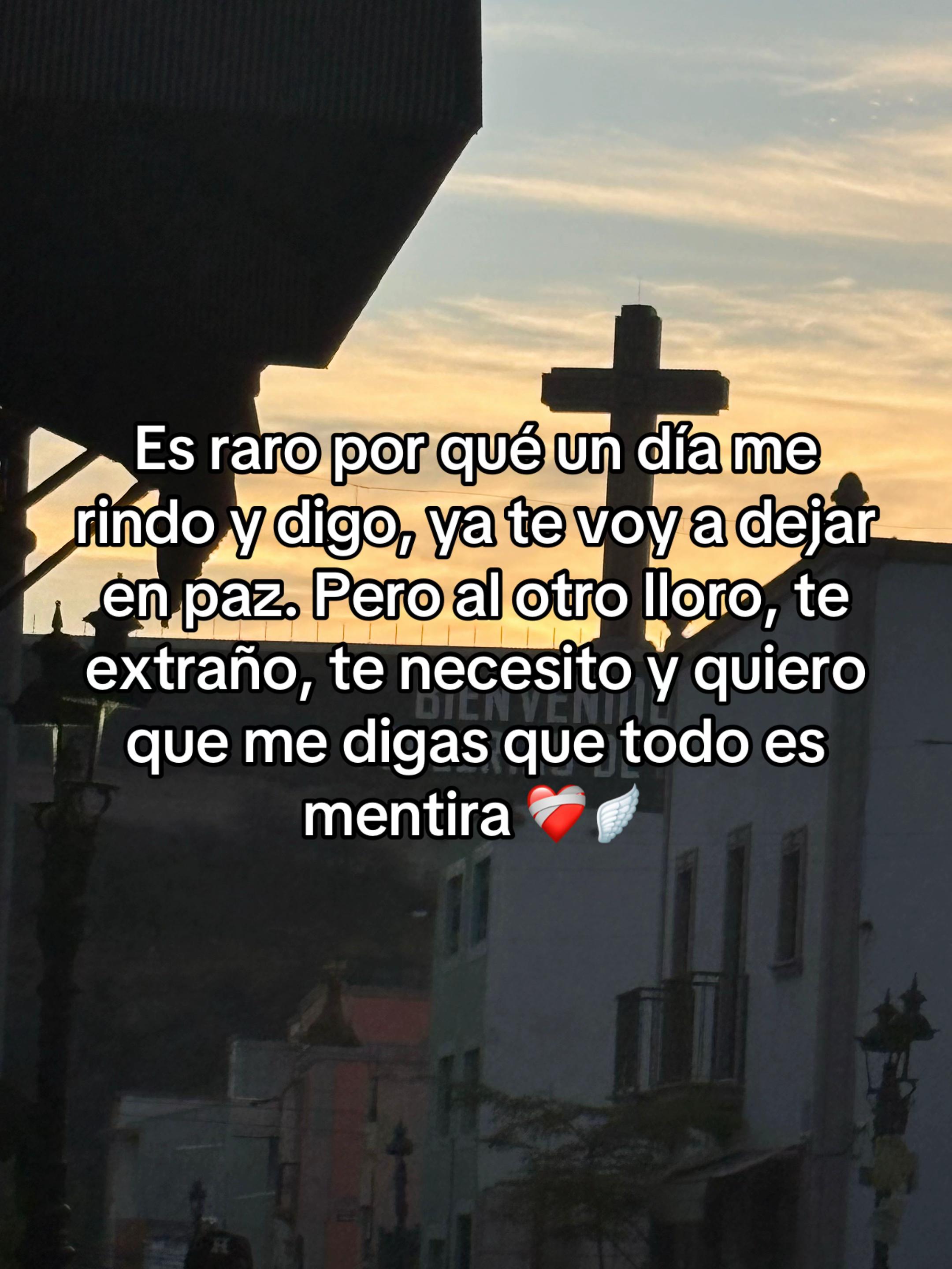 @Polito_777