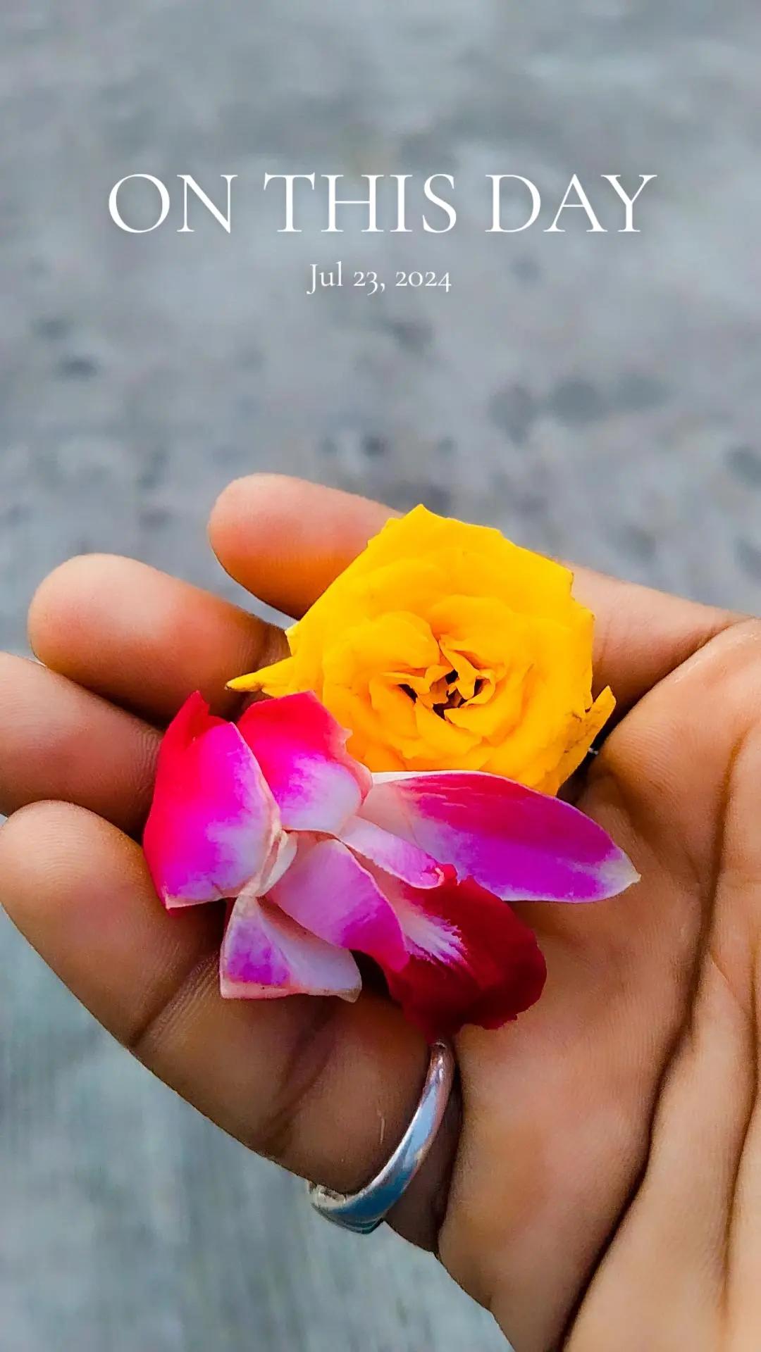 @Bhavani Prasad 🇮🇳 ✈️ 🇸🇬