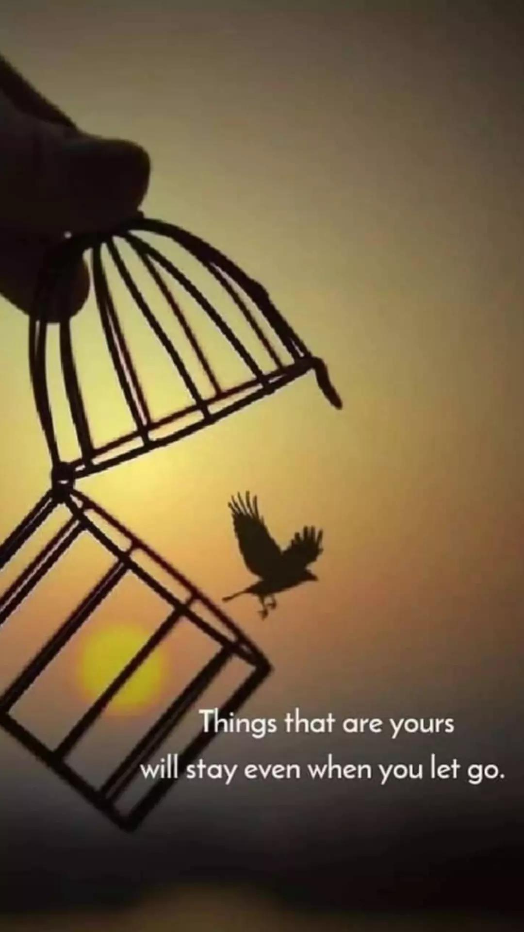 @꧁ 🏳️&zwj;🌈𝕸𝕬𝕱𝕴𝕬 𝕲𝕴𝕽𝕷💔?