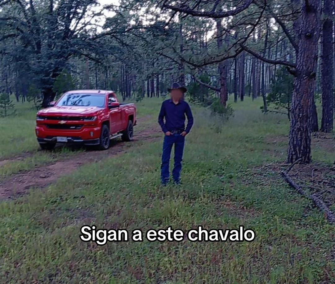 @Gaytán