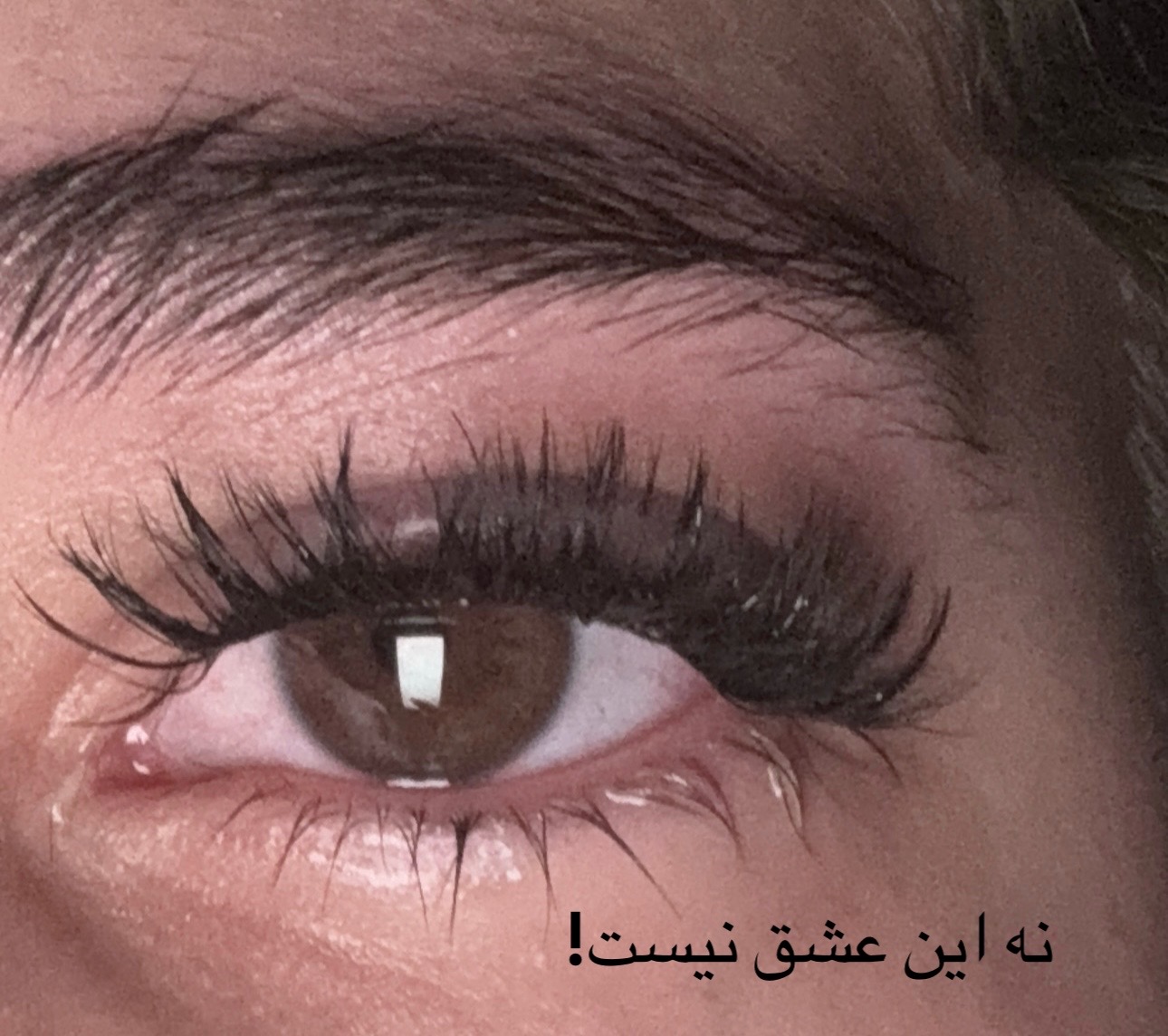 @Heliiiii✨