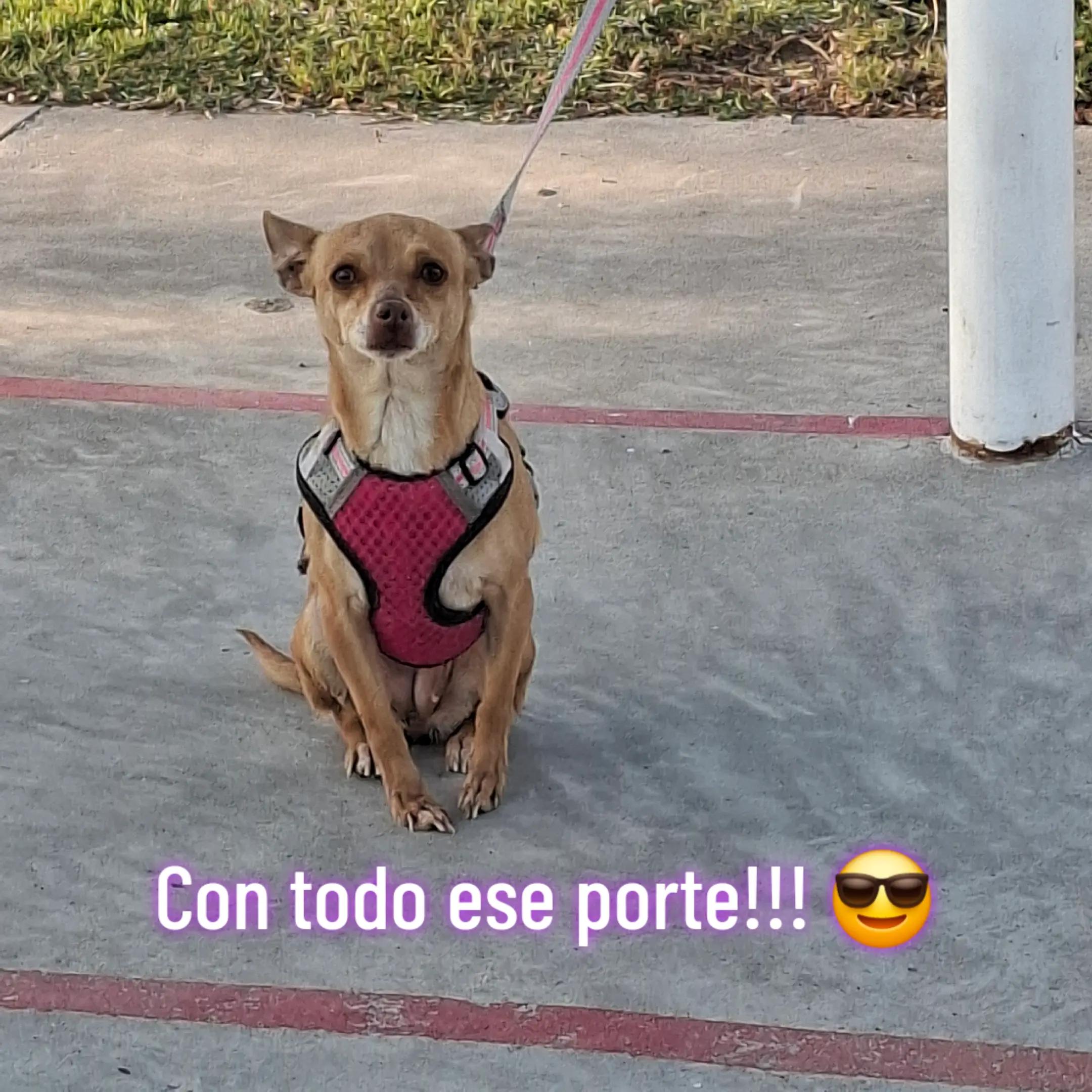 @Laura Ramos