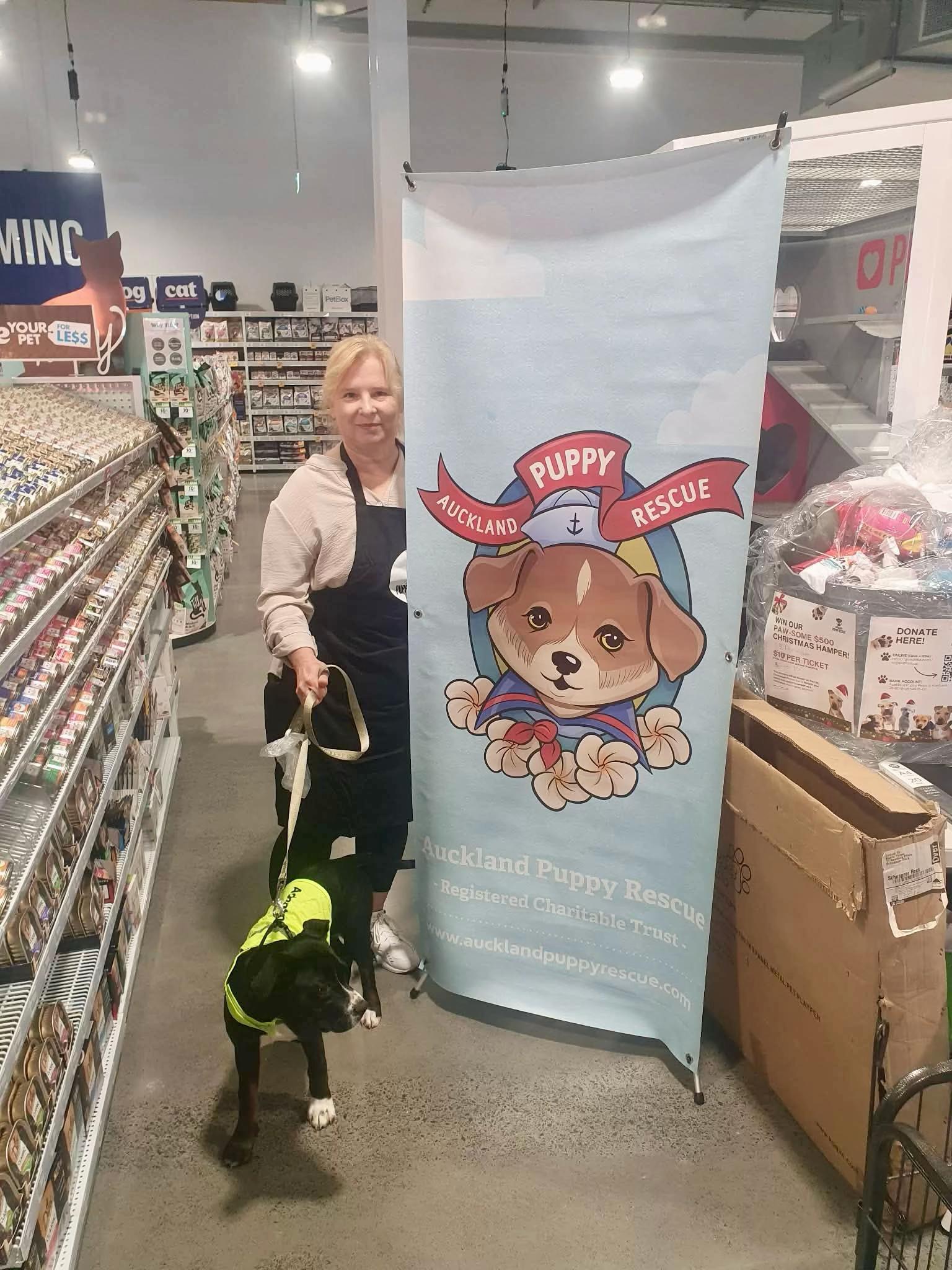 @Auckland Puppy Rescue