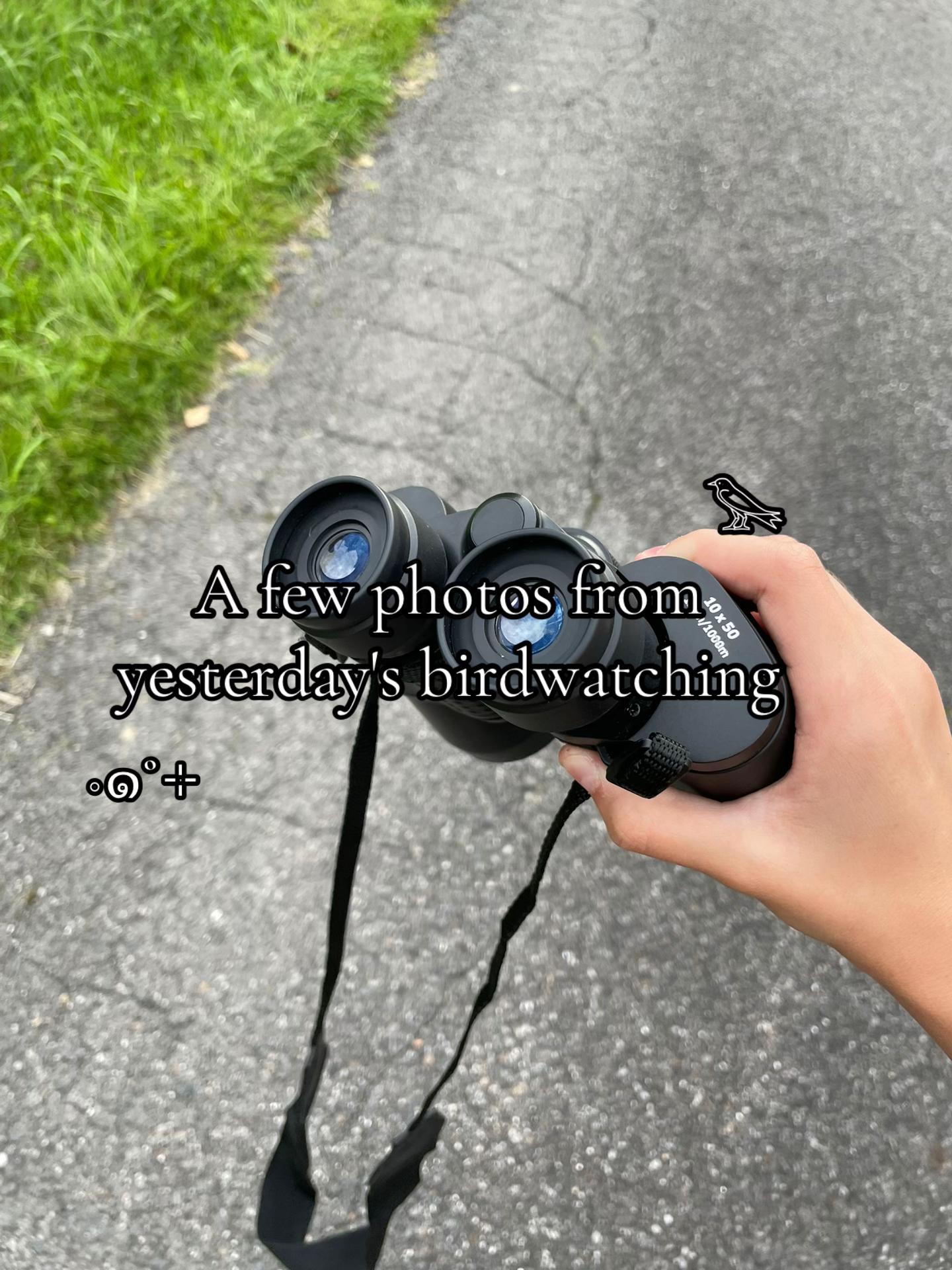 @ˁ῁̮ˀᴇsᴜᴛᴇʀᴜ⋆