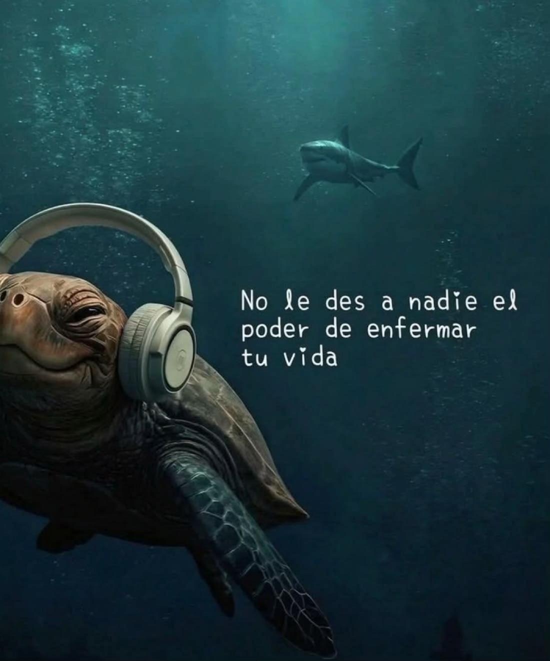 @Antonio SEGA🇲🇽