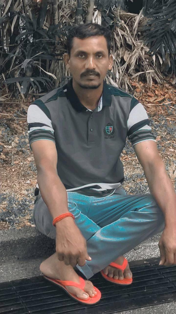 @sr taigar 🐅