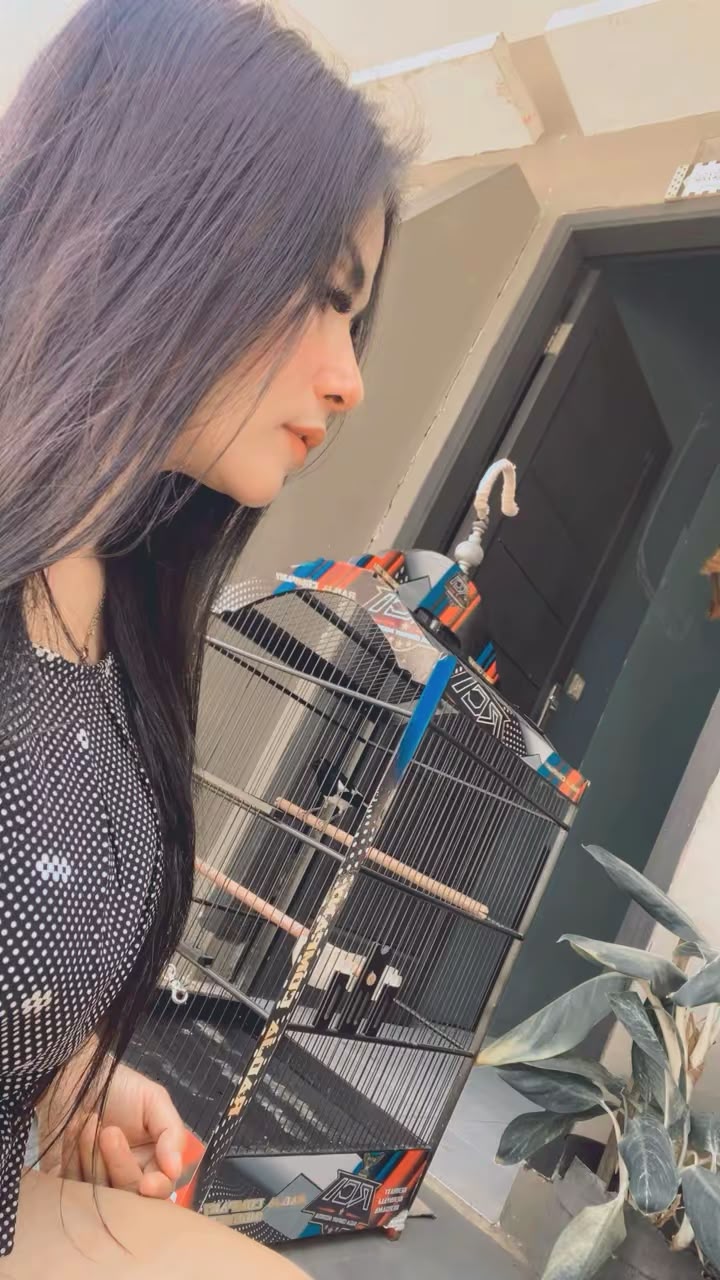 @Toko Kz Vello